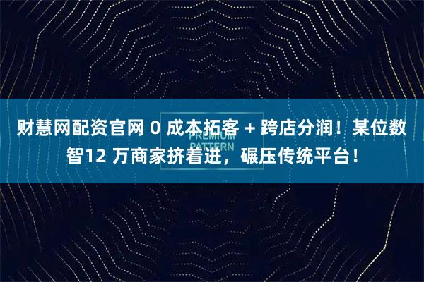 财慧网配资官网 0 成本拓客 + 跨店分润！某位数智12 万商家挤着进，碾压传统平台！