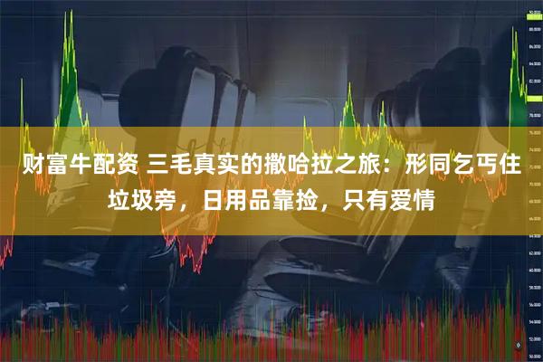 财富牛配资 三毛真实的撒哈拉之旅：形同乞丐住垃圾旁，日用品靠捡，只有爱情